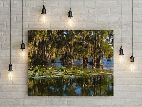 Cypress Bayou Photo Print Louisiana Nature Photography