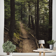 Cedar Forest Hike Nature Wall Tapestry - Decorative