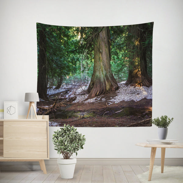 Giant Cedar Pacific Northwest Forest Tapestry - Decorative