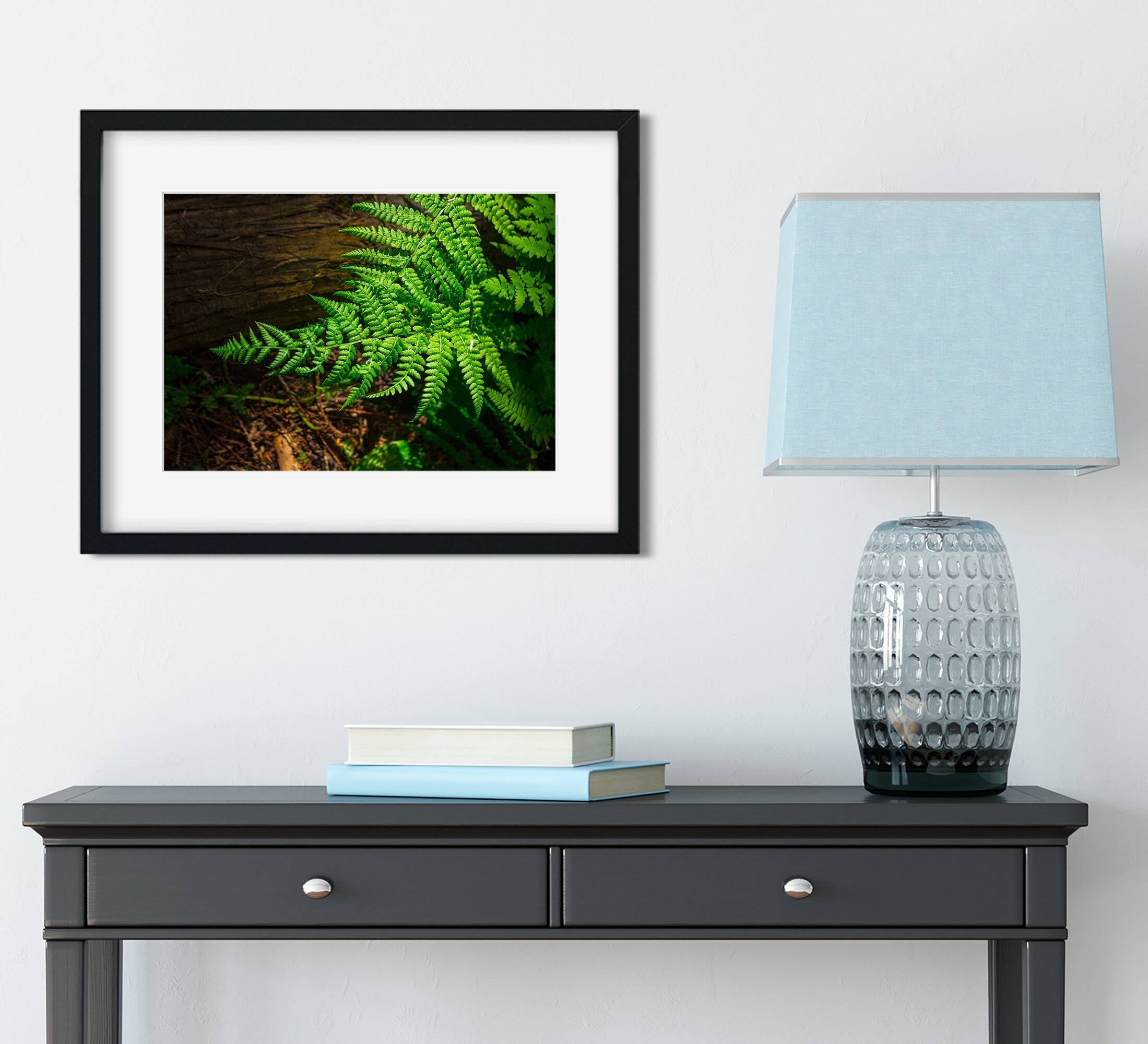 Glowing Green Fern Nature Photography