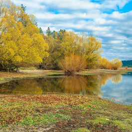 Fall Colors Seasonal Wall Art Autumn Lake Reflections, -