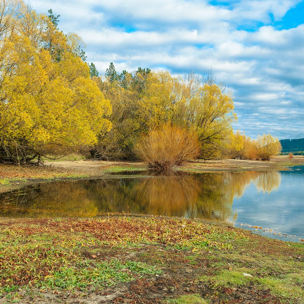 Fall Colors Seasonal Wall Art Autumn Lake Reflections, -