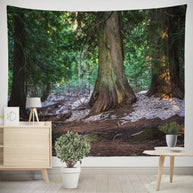 Giant Cedar Pacific Northwest Forest Tapestry - Decorative