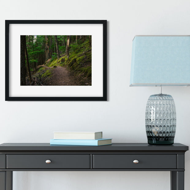 Mossy Hiking Trail Wall Art Print Cedar Forest Photography