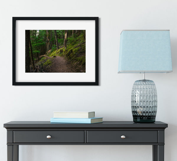 Mossy Hiking Trail Wall Art Print Cedar Forest Photography