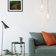 Mossy Hiking Trail Wall Art Print Cedar Forest Photography