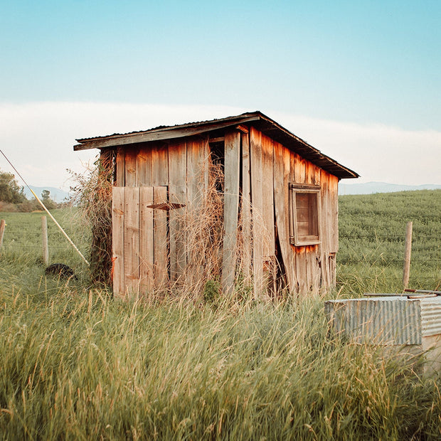Montana Pumphouse Photo Print Farm Wall Art - Photography