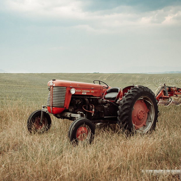 Red Tractor Montana Wall Art Rustic Farm Photography