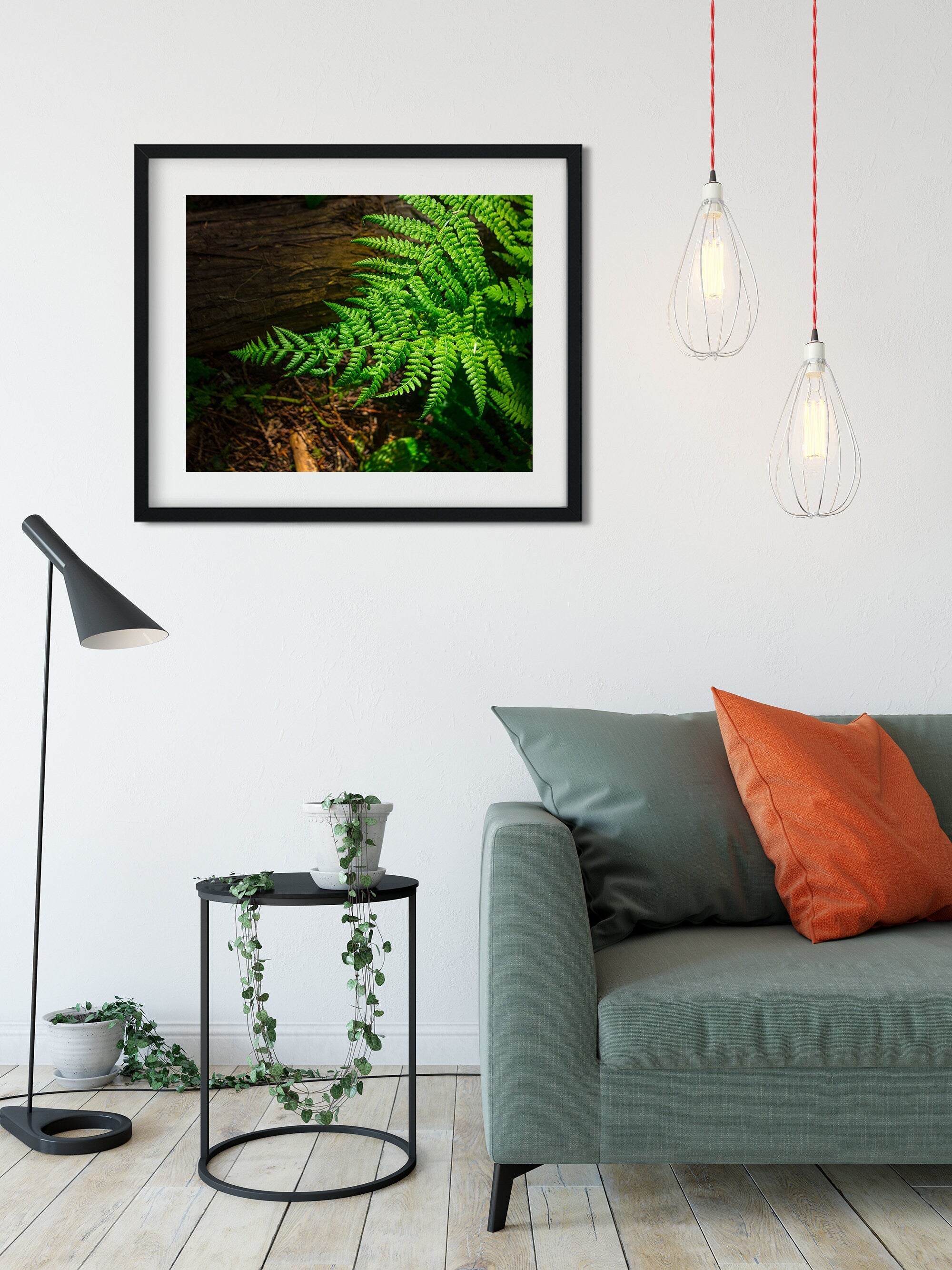 Glowing Green Fern Nature Photography