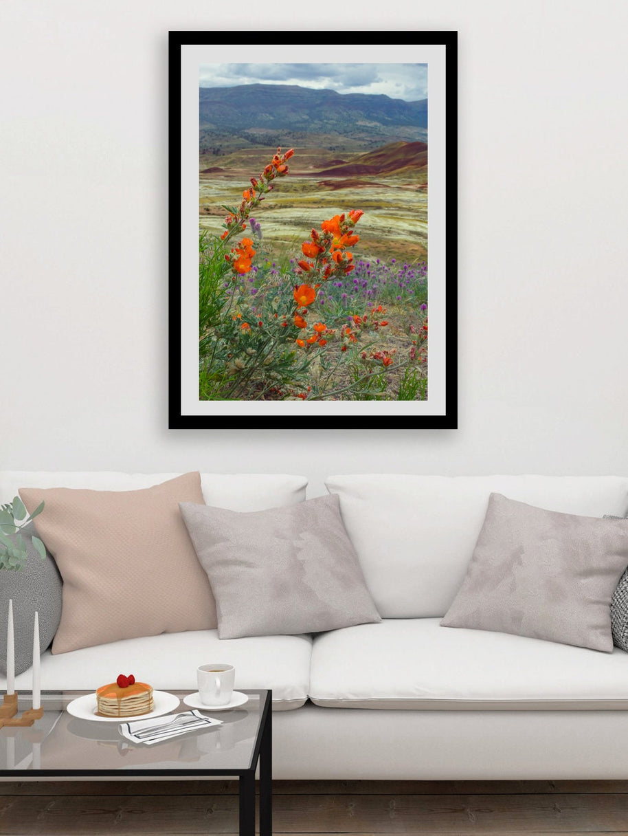 Oregon Painted Hills Nature Photography Globemallow