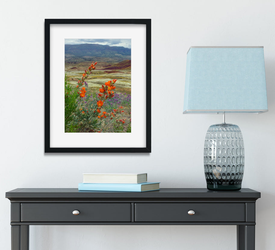 Oregon Painted Hills Nature Photography Globemallow