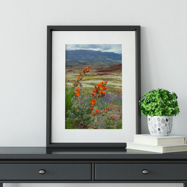 Oregon Painted Hills Nature Photography Globemallow