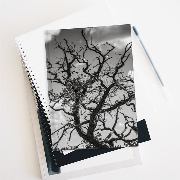 Desert Tree Branches Notebook - Spiral or Hard Cover Ruled