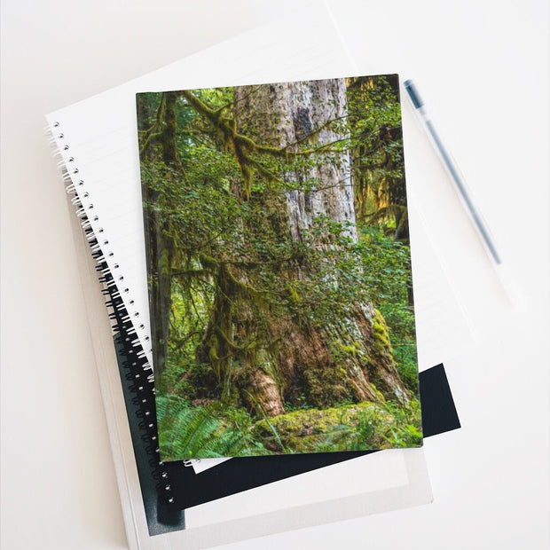 Olympic National Forest Notebook - Spiral or Hard Cover