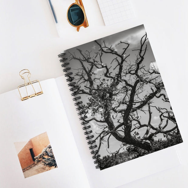 Desert Tree Branches Notebook - Spiral or Hard Cover Ruled