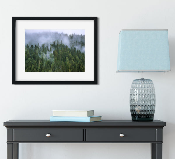 Foggy Mountain Forest Photo Print Autumn Wilderness Wallace