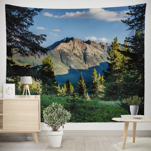 Mountain Peak Wall Tapestry Colorado Forest Hanging -