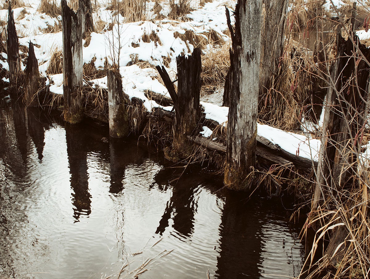 Autumn Log Pond Photo Print Saw Mill Washington -