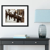 Autumn Log Pond Photo Print Saw Mill Washington -