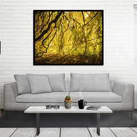Yellow Leaves Photo Print Autumn Nature Photography