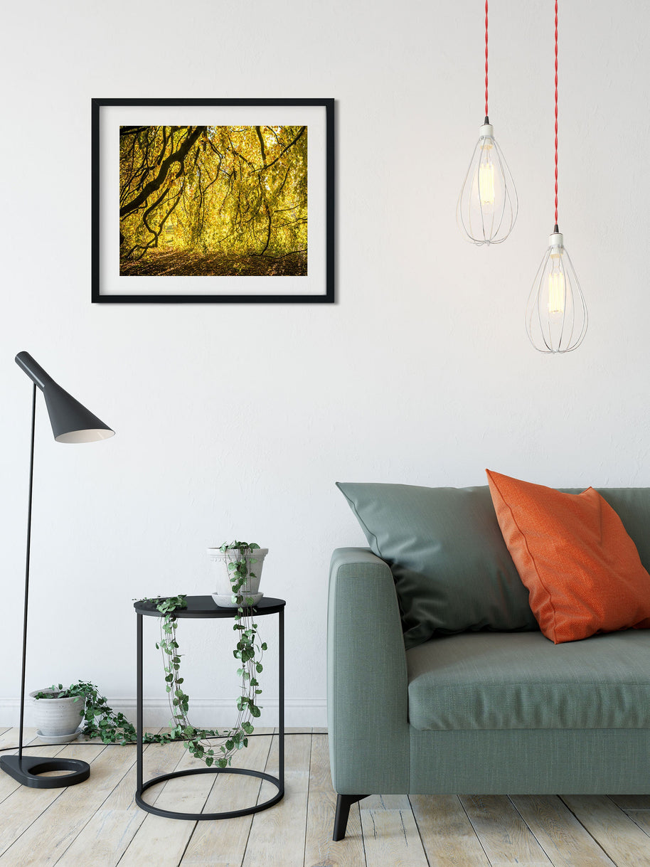 Yellow Leaves Photo Print Autumn Nature Photography