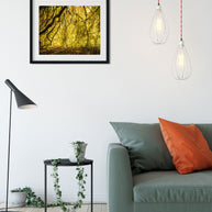 Yellow Leaves Photo Print Autumn Nature Photography