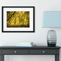 Yellow Leaves Photo Print Autumn Nature Photography