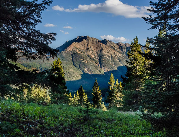 Colorado Mountain Photography View Through the Trees