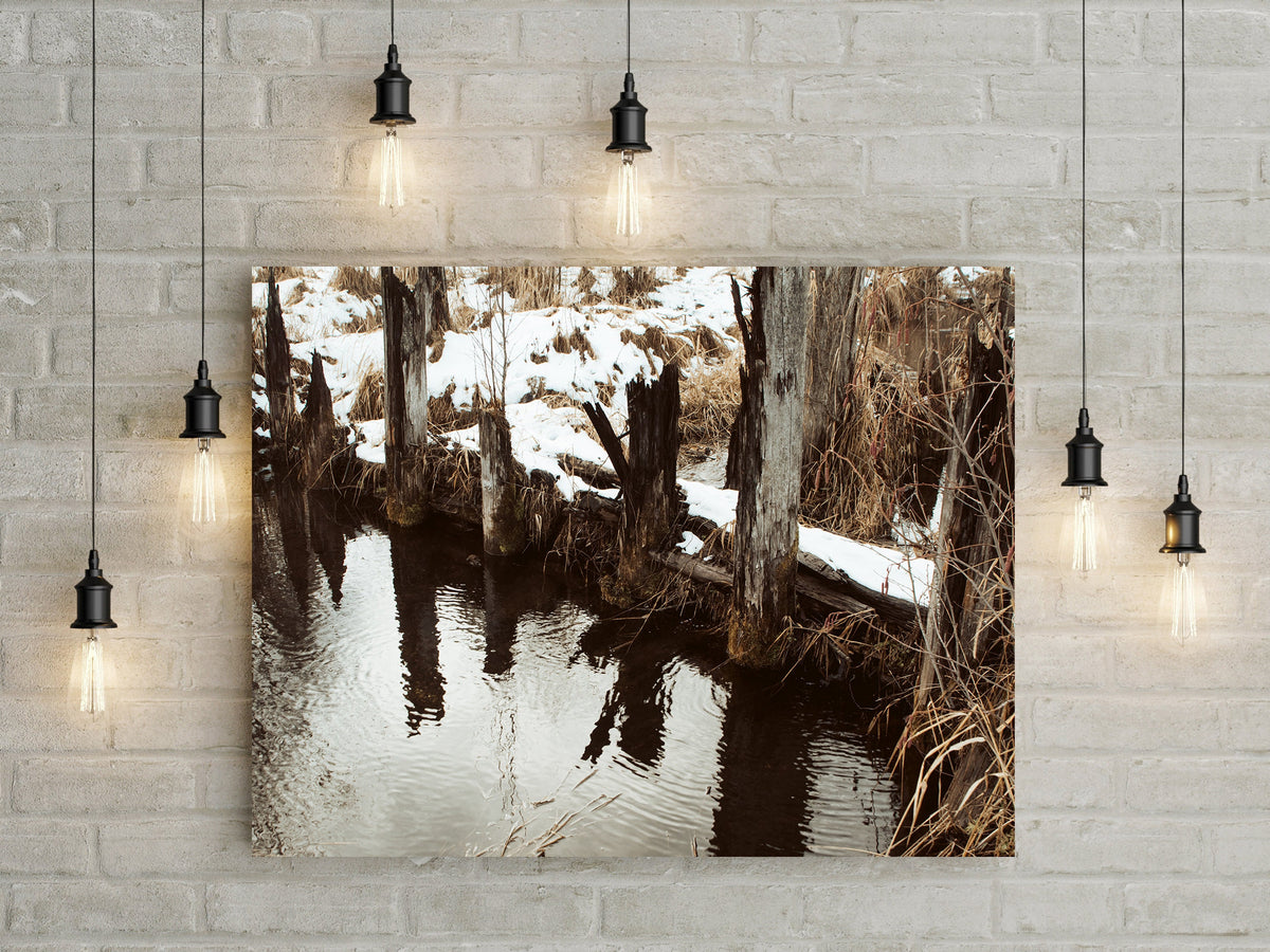 Autumn Log Pond Photo Print Saw Mill Washington -