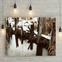 Autumn Log Pond Photo Print Saw Mill Washington -