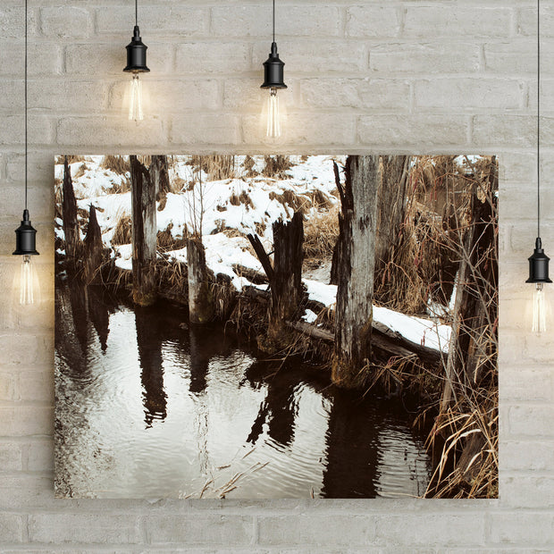 Autumn Log Pond Photo Print Saw Mill Washington -