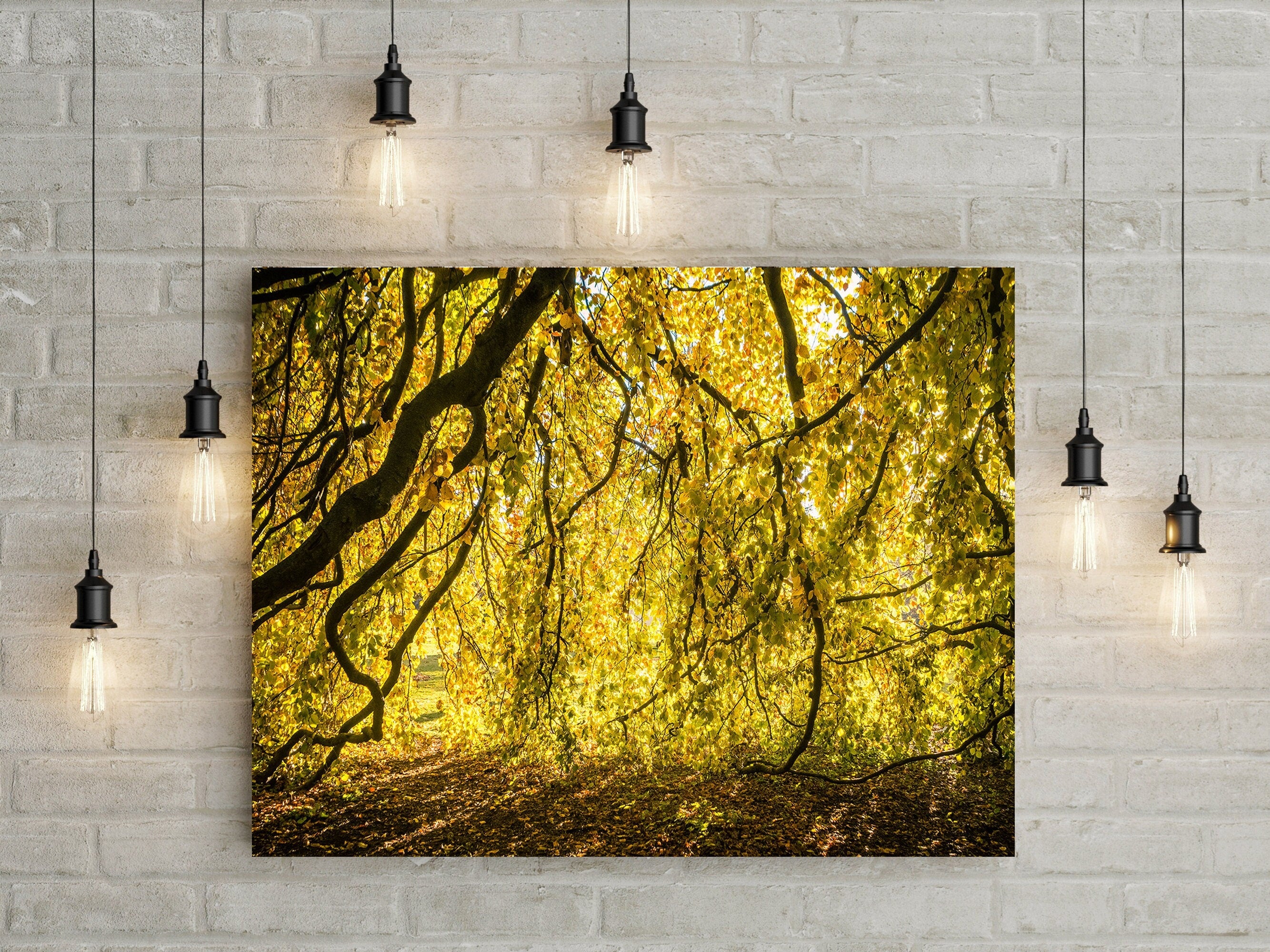 Yellow Leaves Photo Print Autumn Nature Photography