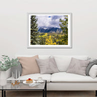 Autumn Colors Mountain Photography Colorado Decor