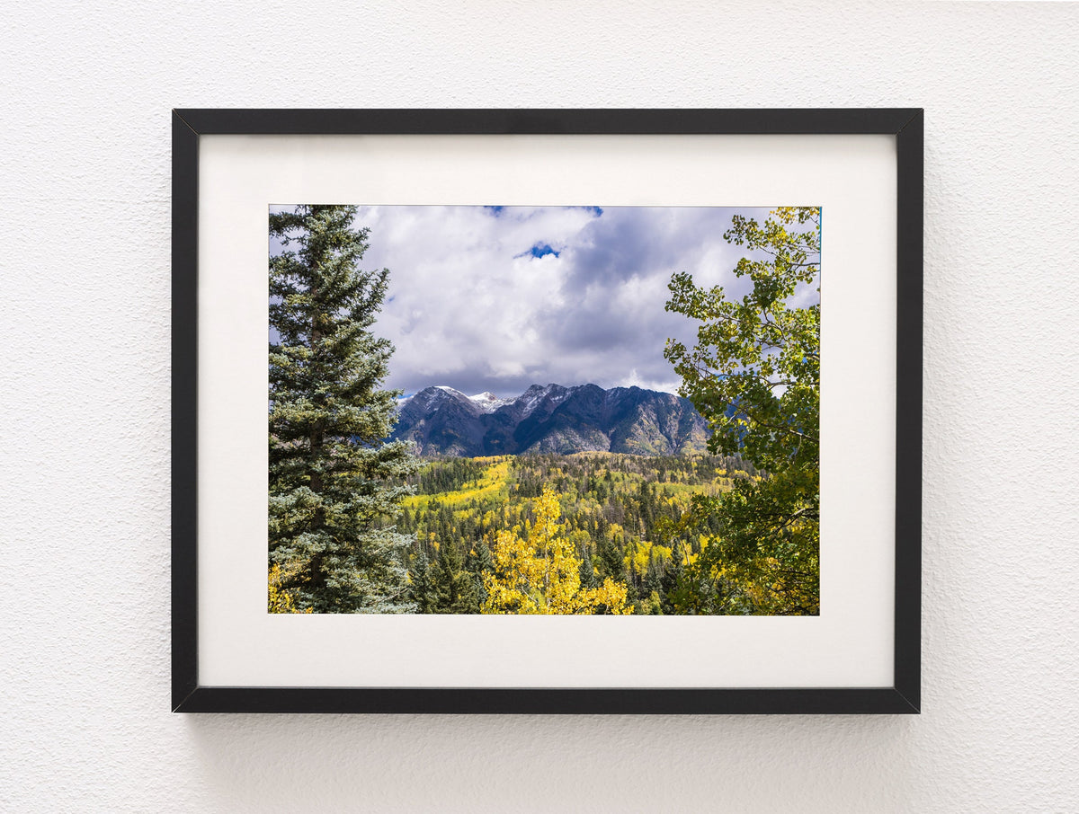 Autumn Colors Mountain Photography Colorado Decor