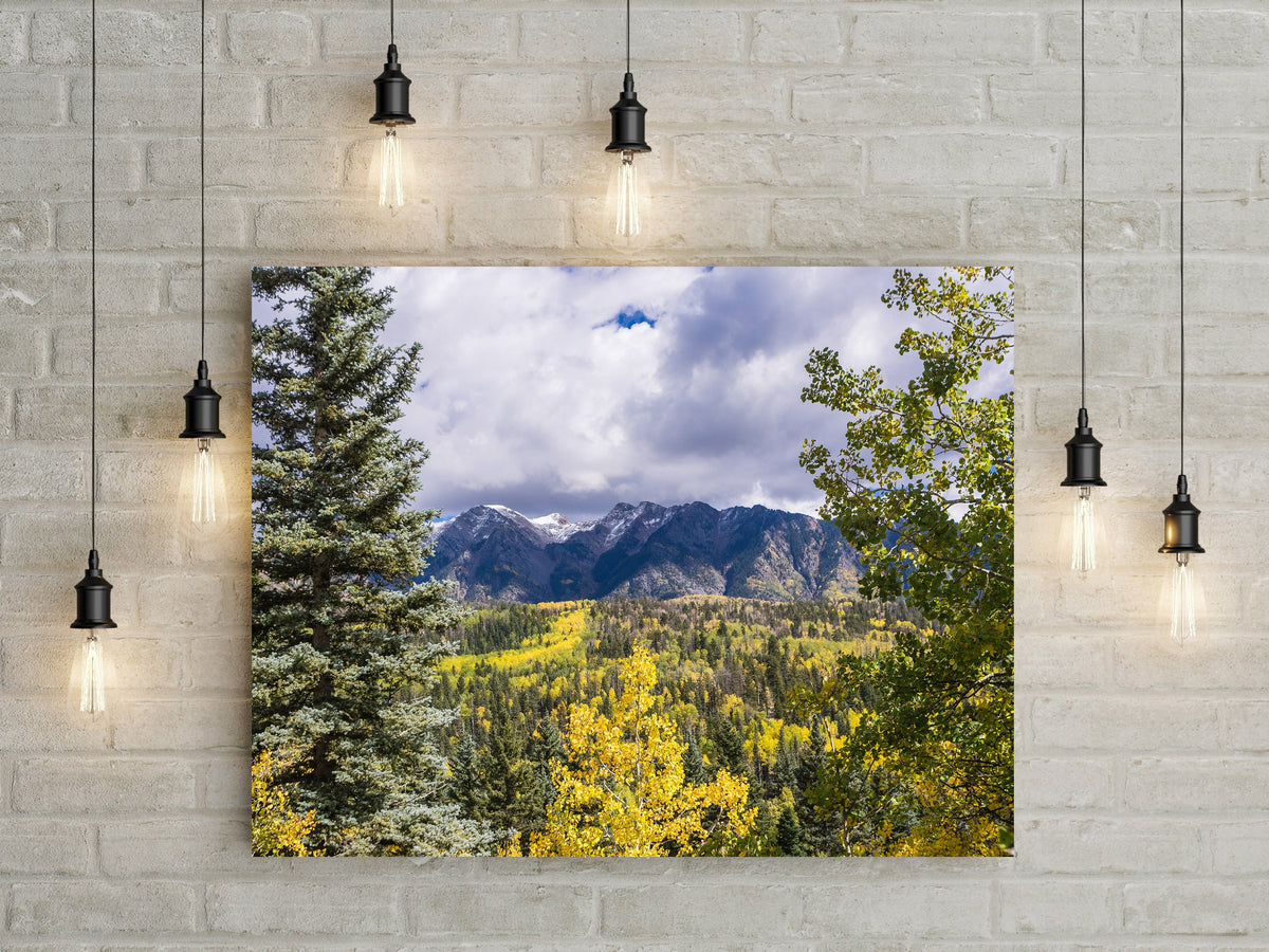 Autumn Colors Mountain Photography Colorado Decor