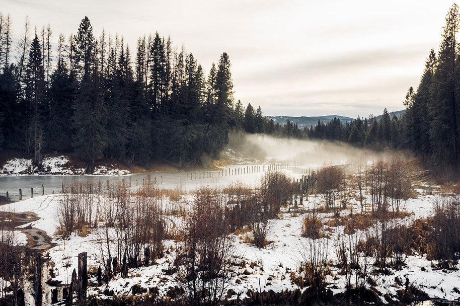 Foggy River Nature Photography Rustic Decor