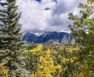 Autumn Colors Mountain Photography Colorado Decor