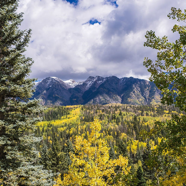 Autumn Colors Mountain Photography Colorado Decor