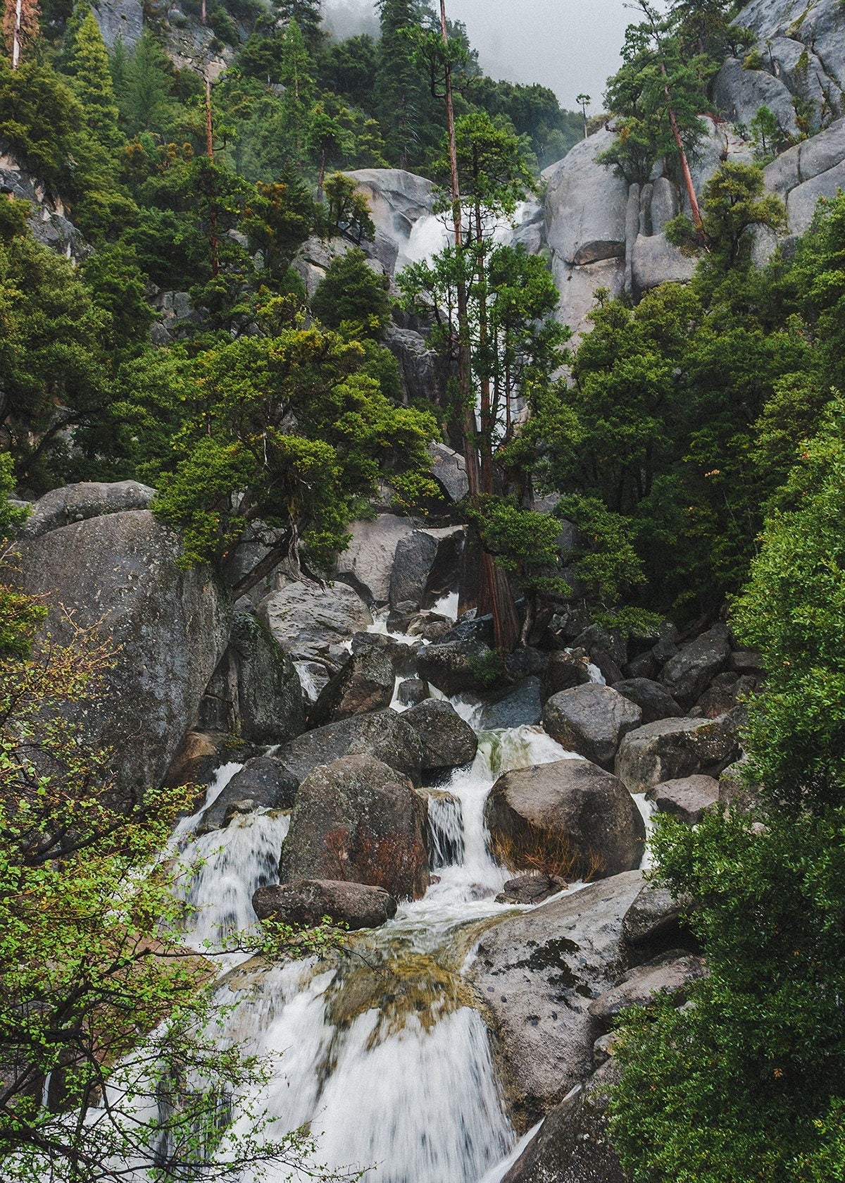 Yosemite Waterfall Rainy Day Photography Scenic Foggy Forest