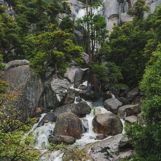 Yosemite Waterfall Rainy Day Photography Scenic Foggy Forest