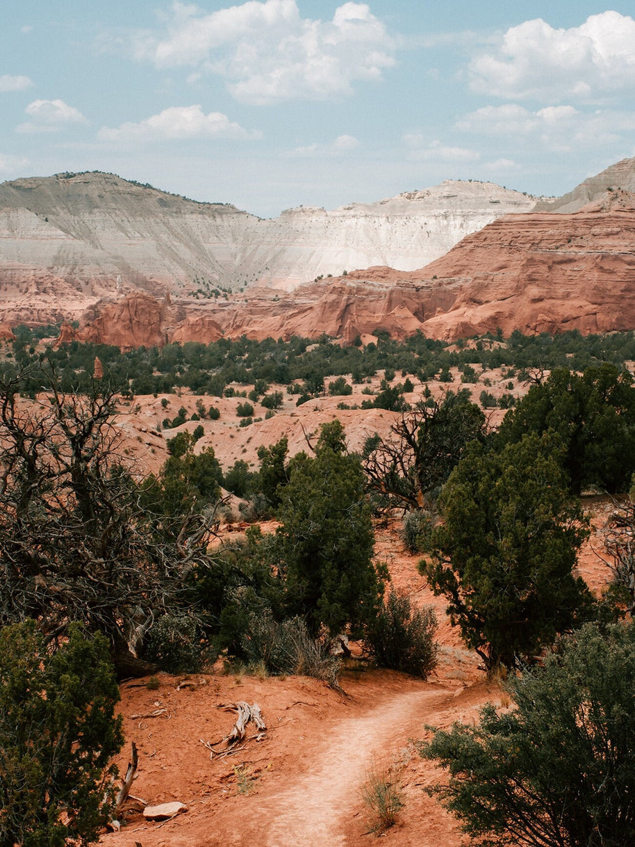 Utah Hiking Trail Photo Print Desert Photography Southwest
