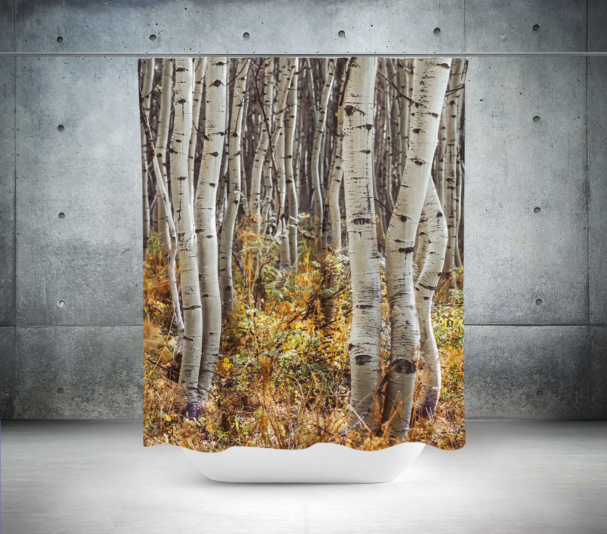 Autumn Aspen Trees Shower Curtain 71x74 inch - Forest