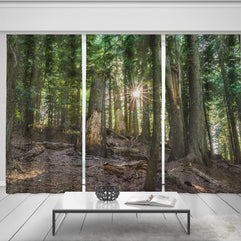 Cedar Forest Window Curtain Set of 3 150x84 inch total -