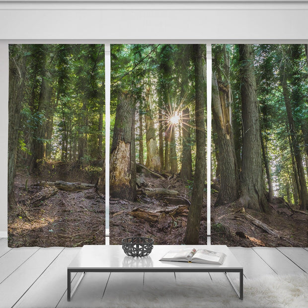 Cedar Forest Window Curtain Set of 3 150x84 inch total -