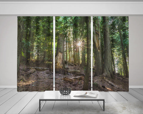 Cedar Forest Window Curtain Set of 3 150x84 inch total -