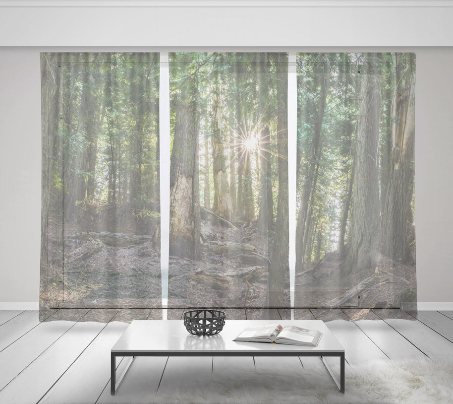 Cedar Forest Window Curtain Set of 3 150x84 inch total -