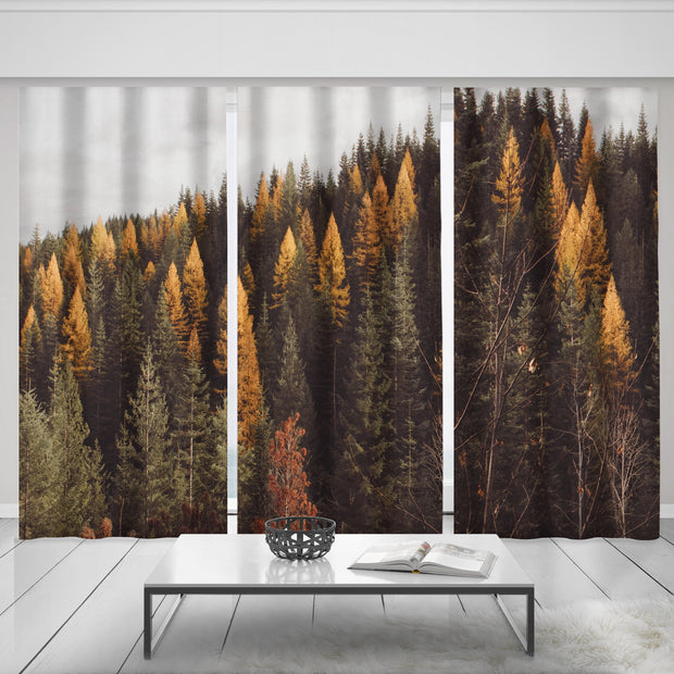 Autumn Forest Curtain Set of 3 150x84 inches - Pine Trees