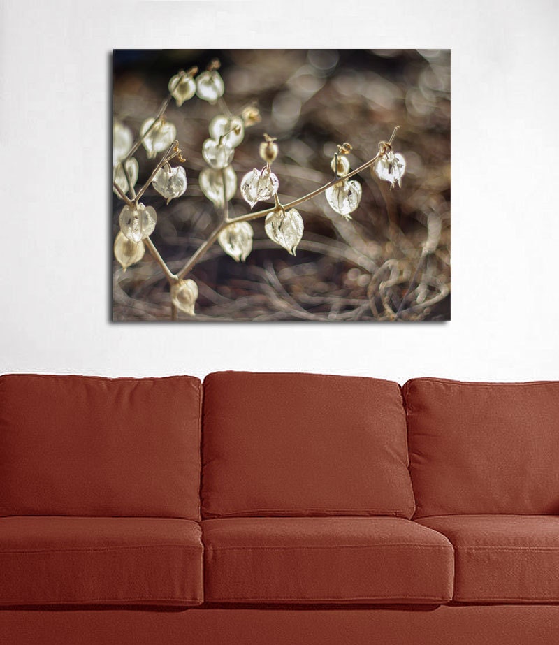 Botanical Photography Neutral Wall Art Seed Pods Nature