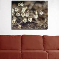 Botanical Photography Neutral Wall Art Seed Pods Nature