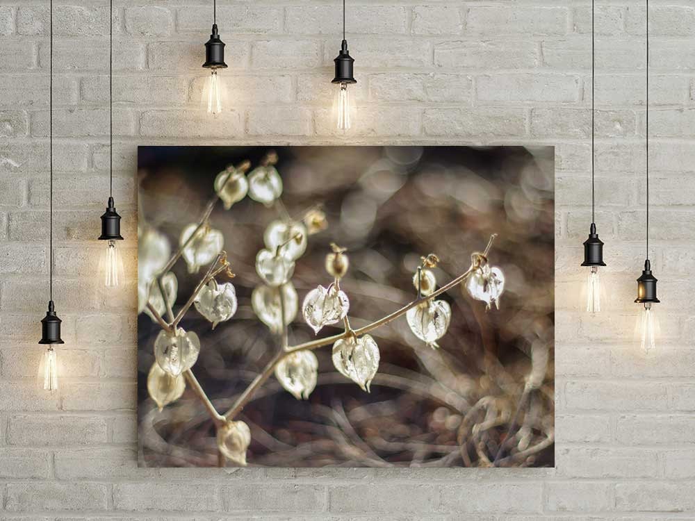 Botanical Photography Neutral Wall Art Seed Pods Nature